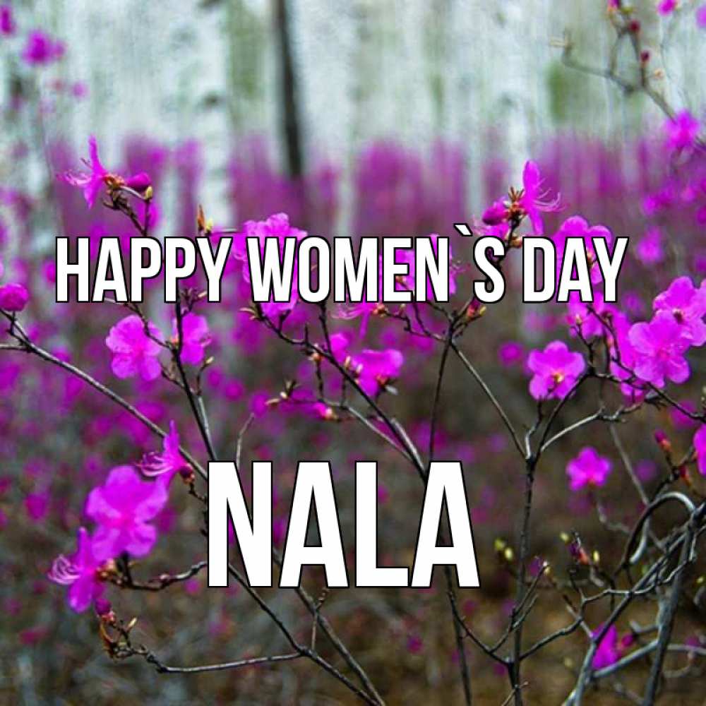 Greetings card с именем, Nala happy women`s day дикие цветы Greetings with text for free download 